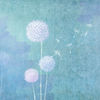 Becoming a Dandelion Spore iOS icon