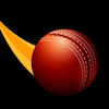 CricApp iOS icon