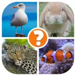 Animals Quiz  Word Pics Game