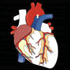 Anatomy Puzzles iOS icon