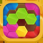 Block Hexa Puzzle Hex Puzzle App icon