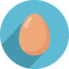 World Record Egg Blocks iOS icon
