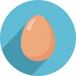 World Record Egg Blocks App Icon