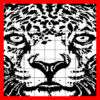 Nonogram 9 (Picross Logic) iOS icon