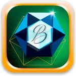 Bingoti App Icon