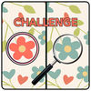 Five Differences Challenge iOS icon