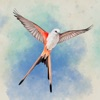 Wingspan: The Board Game App Icon