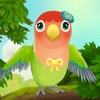 Bird BnB App Icon