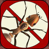 Insect killer App Icon