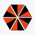 Polygon Flips App icon