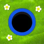 Holes Online App icon