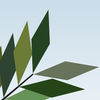 TreeSim App Icon