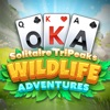 Solitaire: Wildlife Adventures App Icon