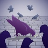 A Park And Pigeons App icon