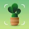 AI Plant Identifier App Icon