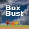 Box Bust App Icon