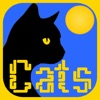 PathPix Cats App icon