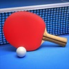 Ping Pong Fury App Icon