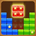Perfect Block Puzzle App Icon