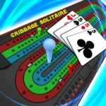 Cribbage Solitaire Challenge App Icon