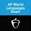 AP World Languages Exam App iOS icon