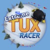 Extreme Tux Racer iOS icon