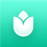 PlantIn: Plant Identifier App icon