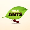 Idle Ants iOS icon