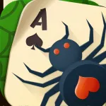 Spider Solitaire Club App Icon