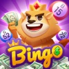 Bingo King iOS icon