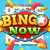 Bingo Now App icon