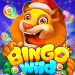 Bingo Wild-BINGO Games Online App Icon