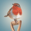 Jacquie Lawson Country Cottage iOS icon
