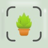 Plant & Tree Identifier App Icon