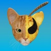Idle Animal Evolution App Icon