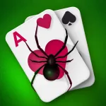 Spider Solitaire ‏‏‎‎‎‎ App Icon