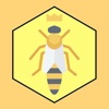 Hexes Board Game: Hive conquer App icon
