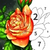 Art Number Coloring Book iOS icon