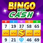 Bingo Win Cash: Real Money App Icon