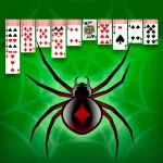 Spider Solitaire 2021 App Icon