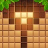 Wood Block Puzzle Sudoku App icon