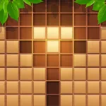 Wood Block Puzzle Sudoku App Icon