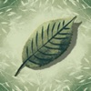 Blätterrauschen iOS icon