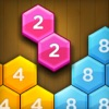 Hexa Number Puzzle App Icon