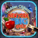 Hidden Objects New York Quest App Icon