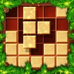 Wood Block Puzzle: Lucky Pro App Icon