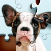 Jigsaw Puzzles  Daily Puzzles