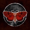 Moth Lake App icon