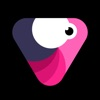 Velomingo: Velocity Edit Maker App Icon