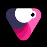 Velomingo: Velocity Edit Maker App icon
